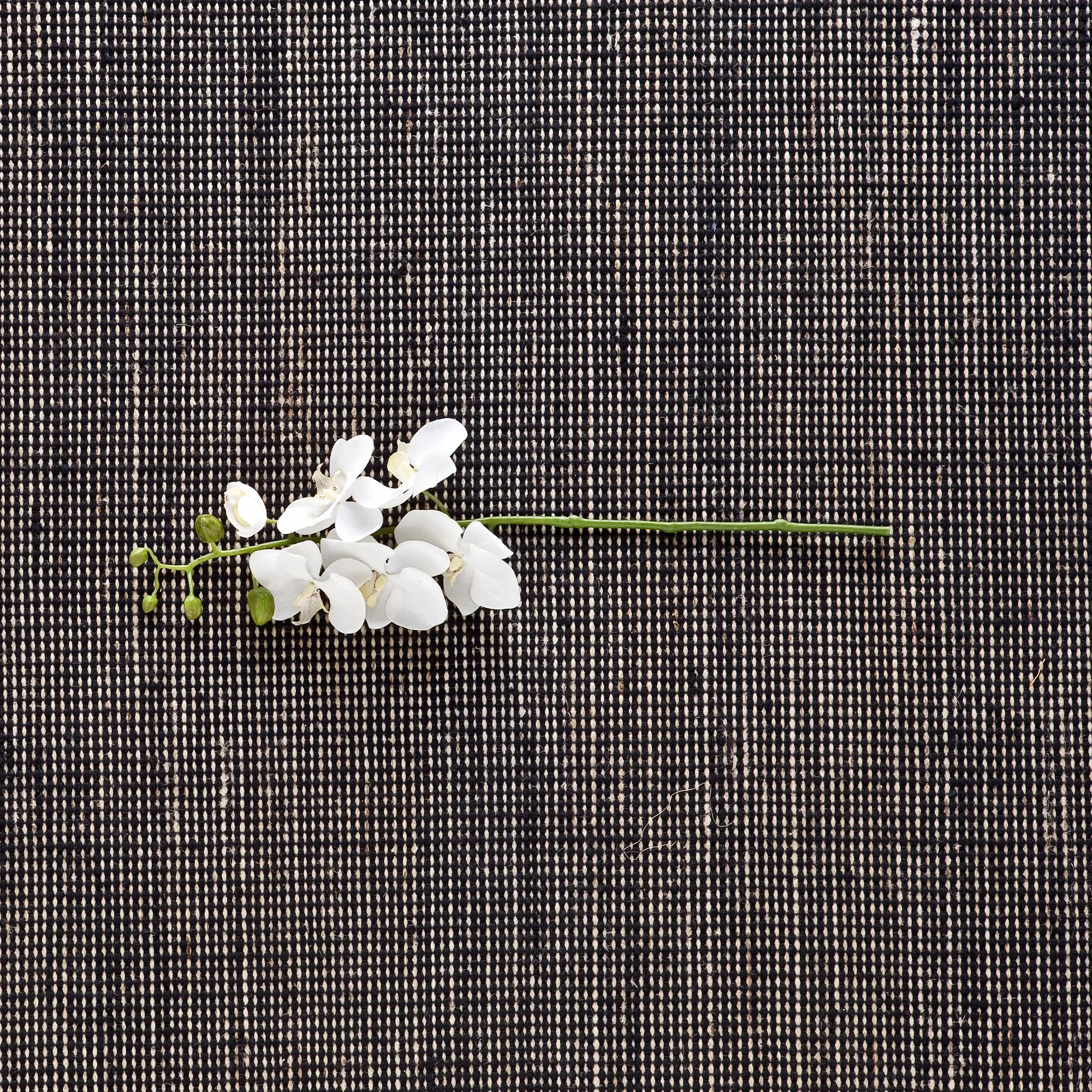 Tatami wollen vloerkleed Black - 3