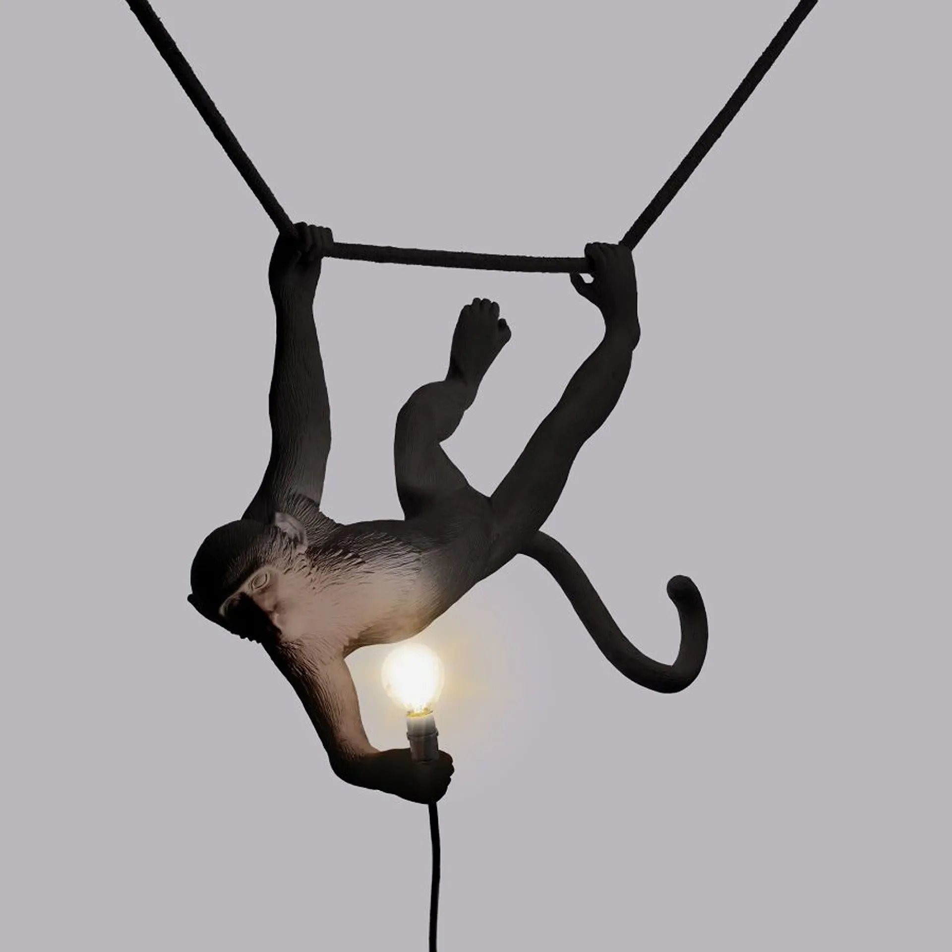 The Monkey Lamp Outdoor Swing, Black - Seletti - NO GA