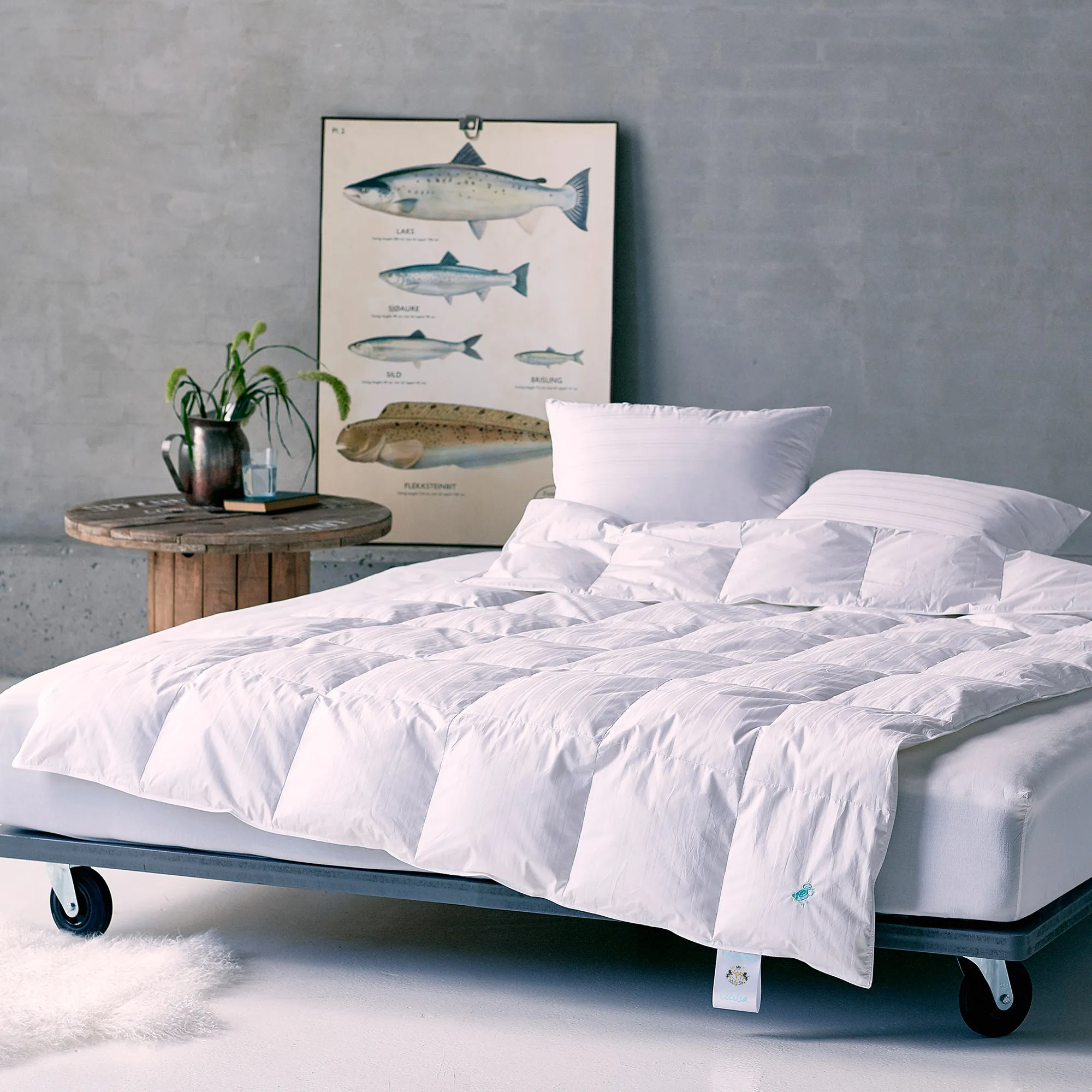 Cecilia never freezes - Down duvet - 3
