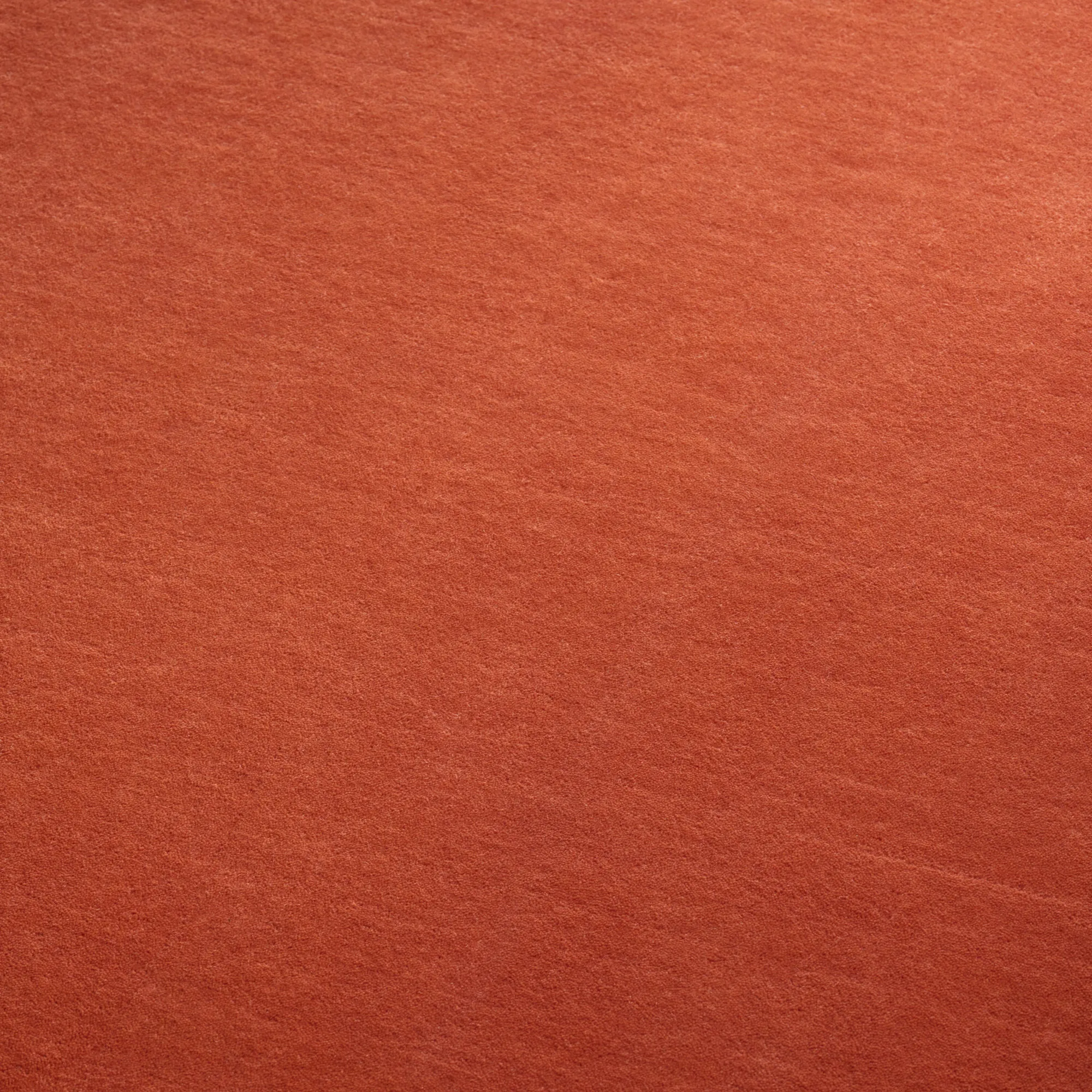 Grand Sienna Red Wool Rug - 4