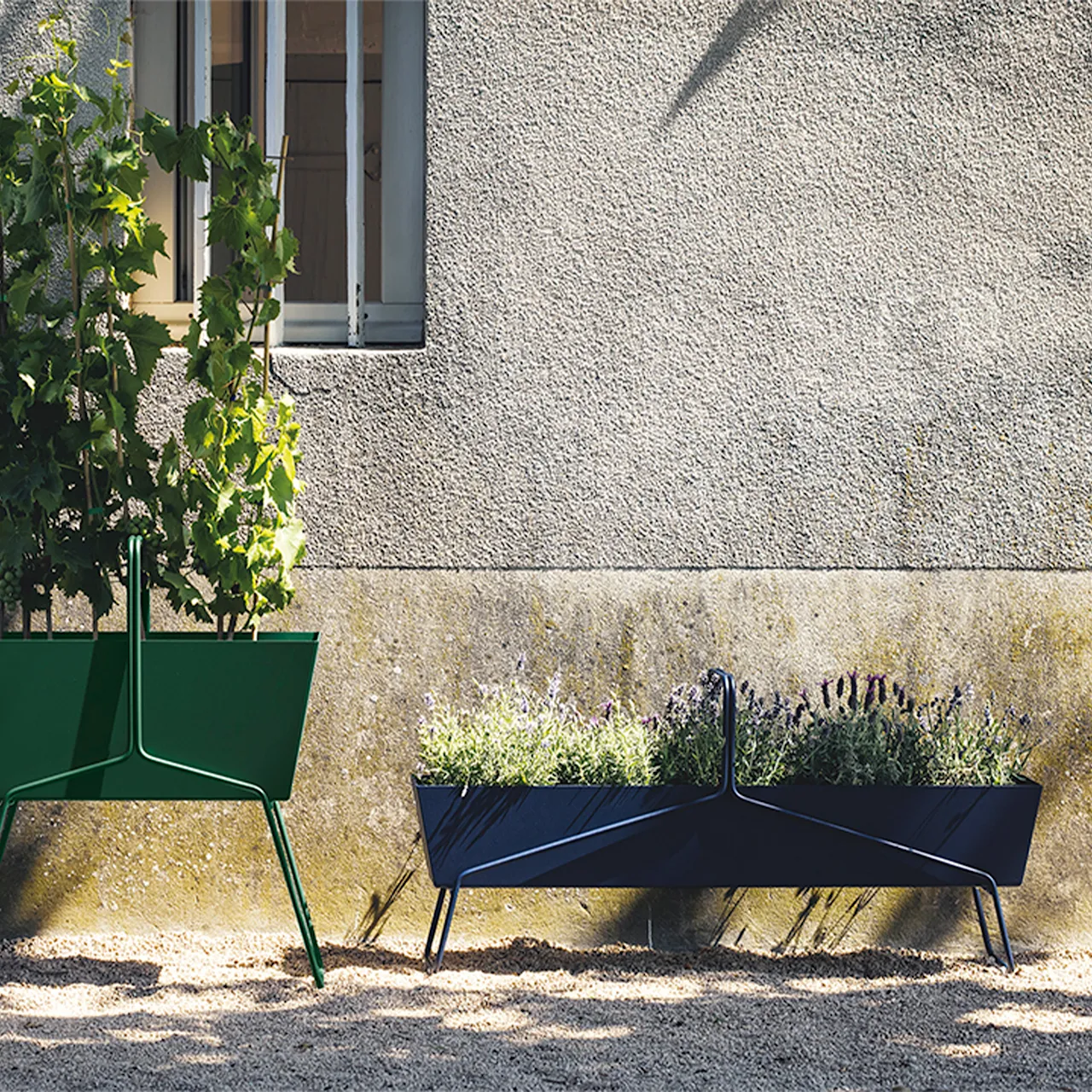 Basket Planter Long Rosemary