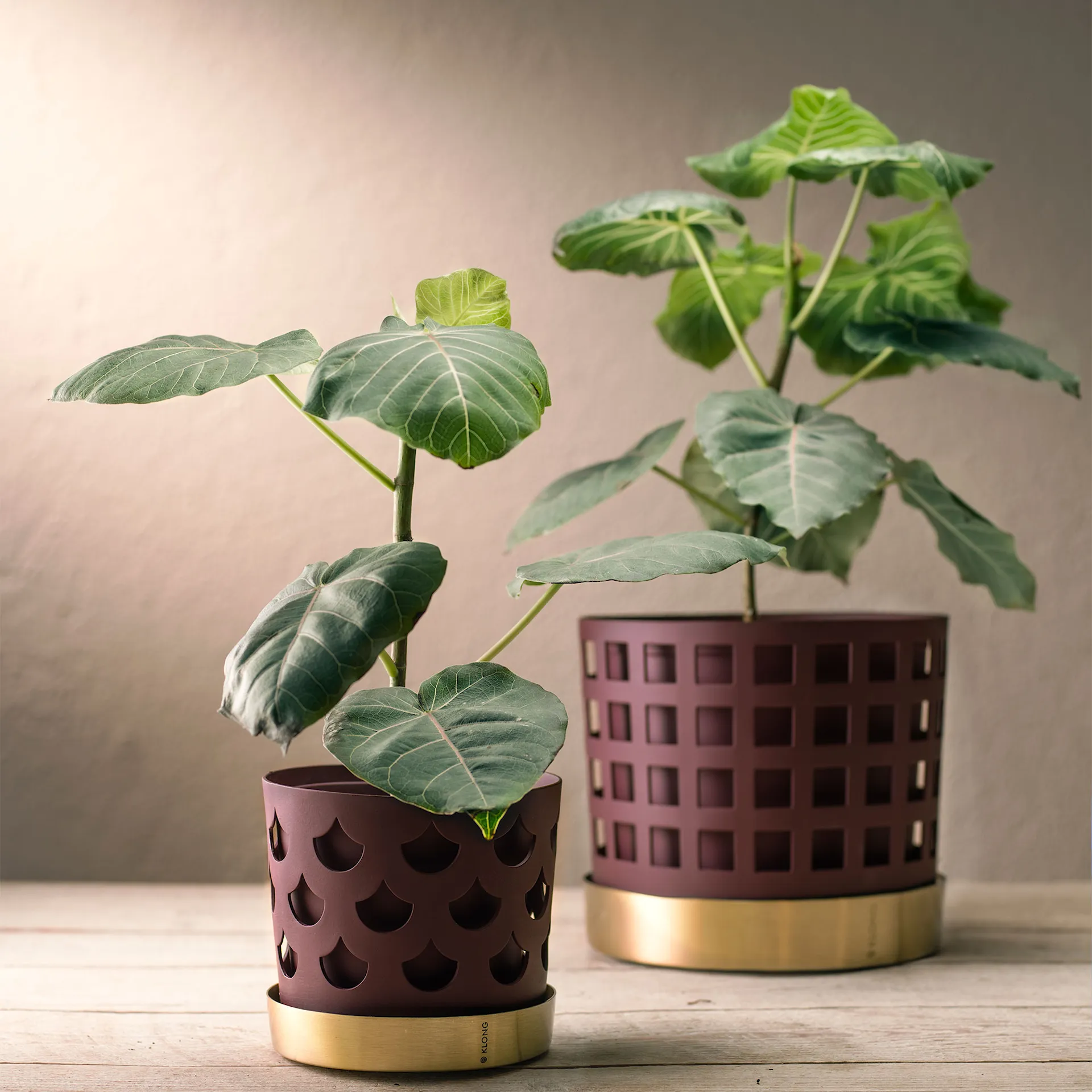 Trio Flower Pot Drop - Dark Red - Klong - NO GA