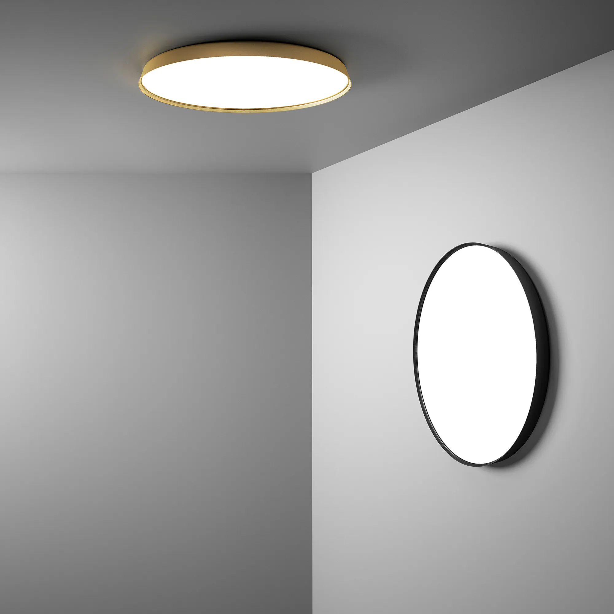 Compendium Plate Wall / Ceiling D81P - 2