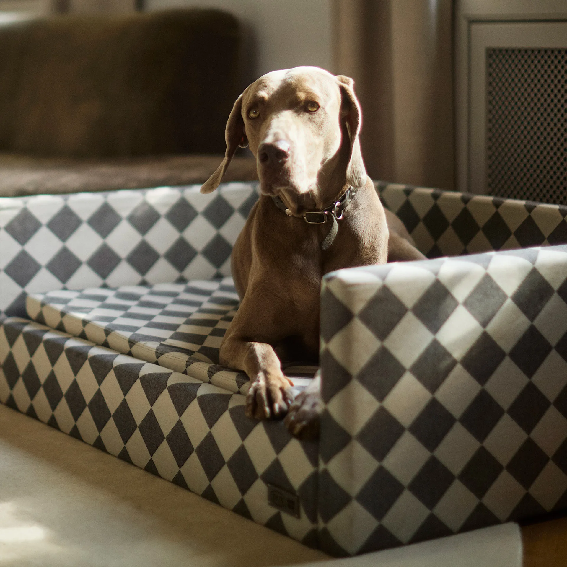 DUX Premium Dog Bed by NO GA - DUX - NO GA