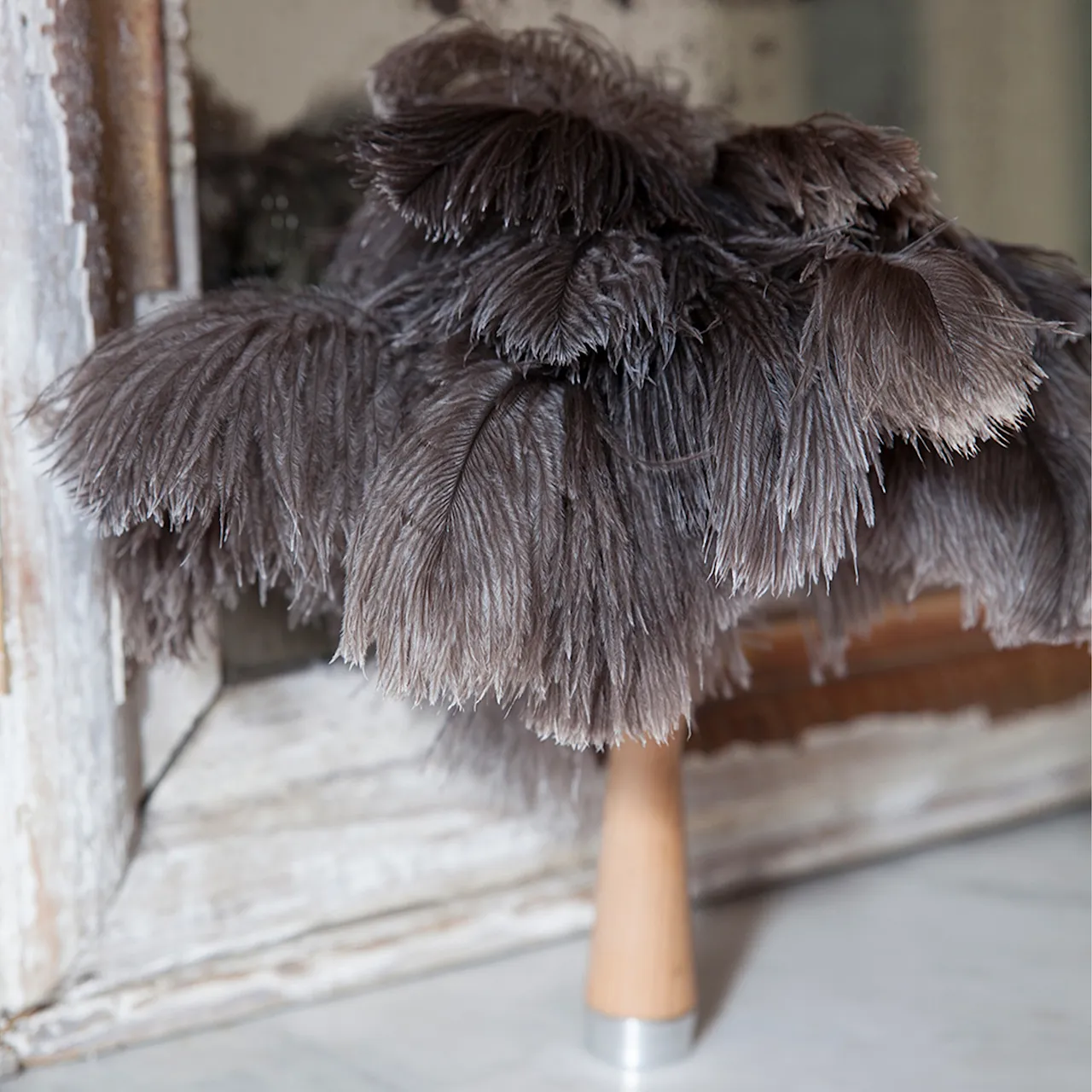 Feather duster Small