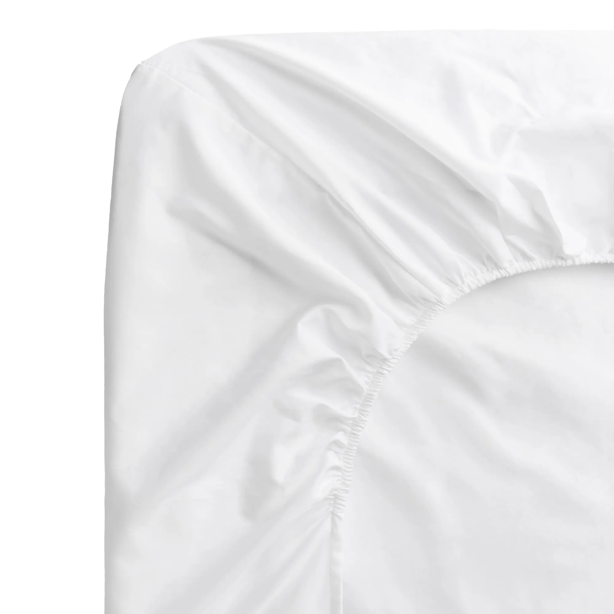 Percale Fitted Sheet Crisp White - 1
