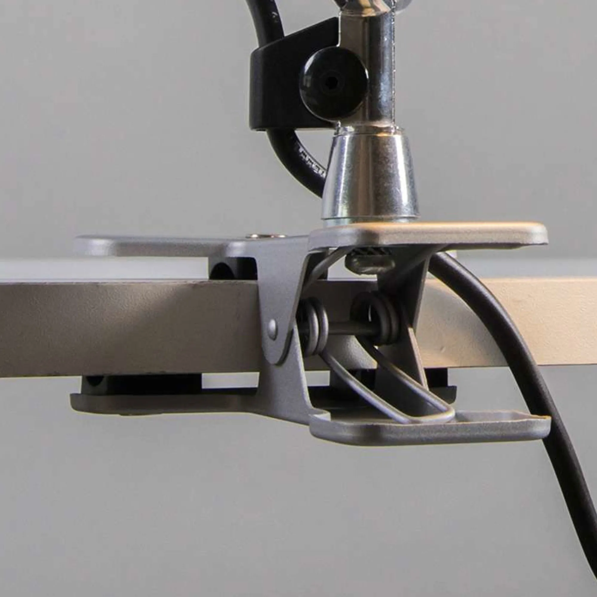 Tolomeo Pinza - 3