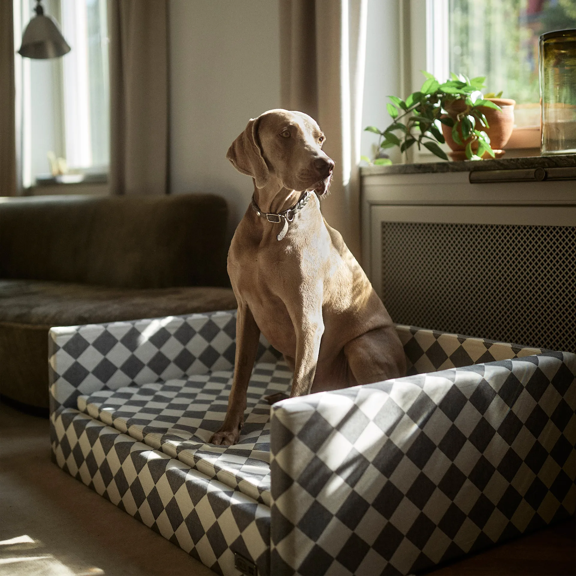 DUX Premium Dog Bed by Nordiska Galleriet - DUX - NO GA