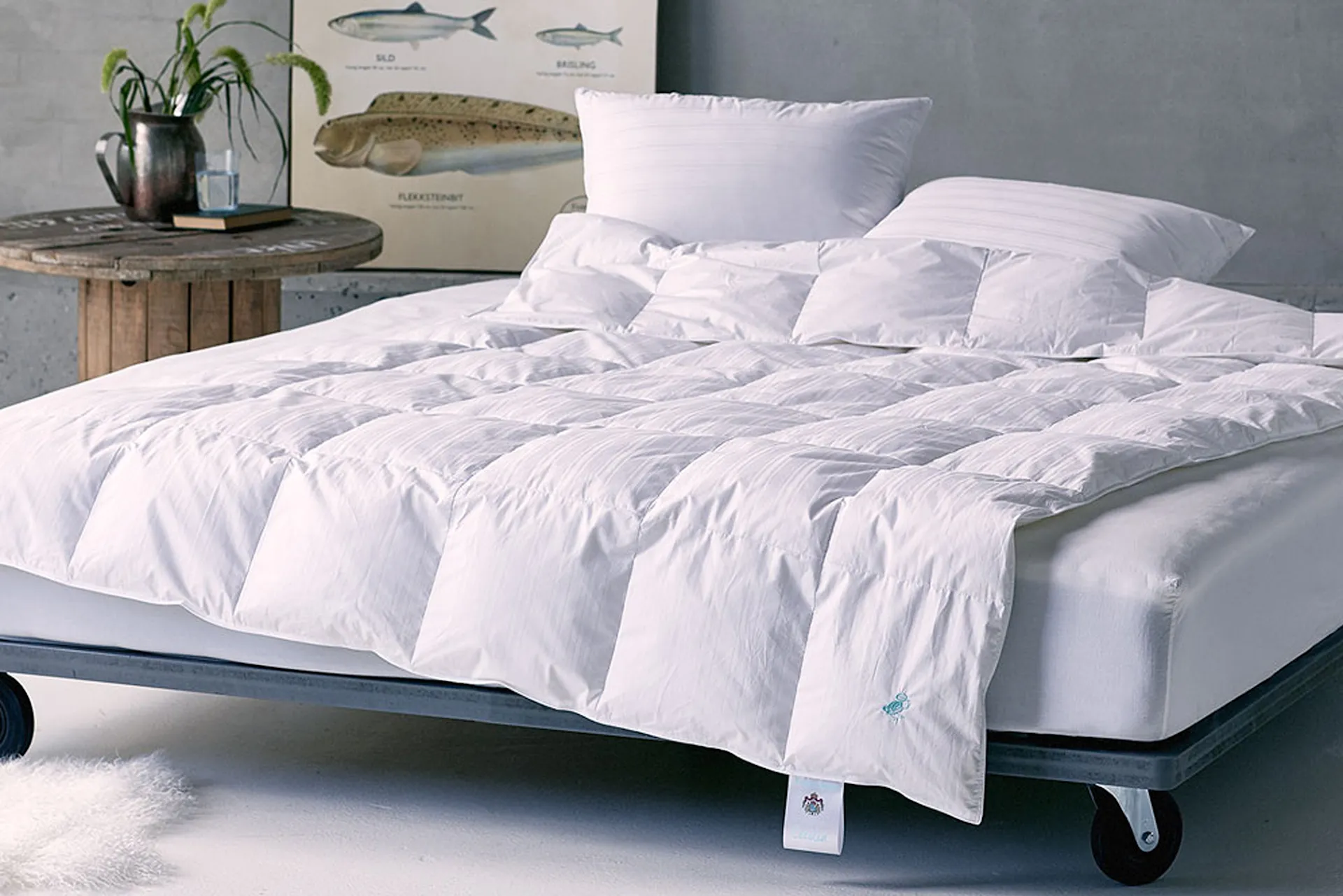 Cecilia never freezes - Down duvet - Engmo Dun - NO GA