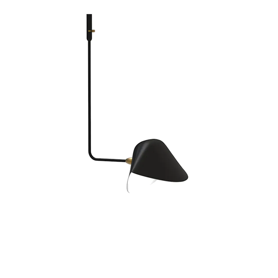 Library Curved pendellampe