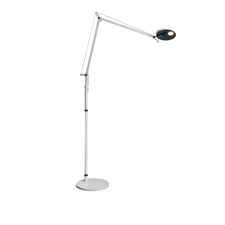 Demetra Reading Floor Lamp