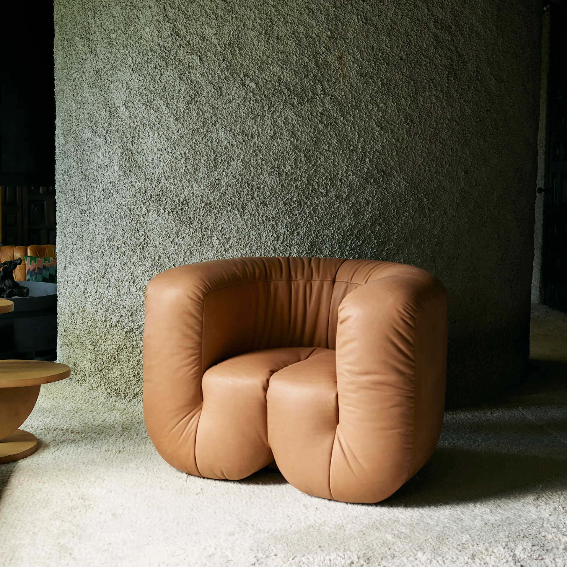 Buy DS-707 Armchair from de Sede | NO GA Buy DS-707 Armchair from de Sede | NO GA
