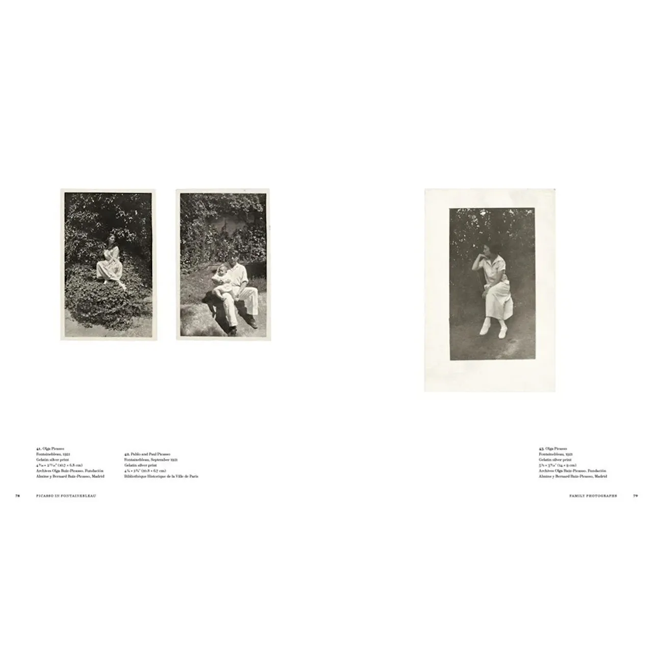 Picasso in Fontainebleau Art Book