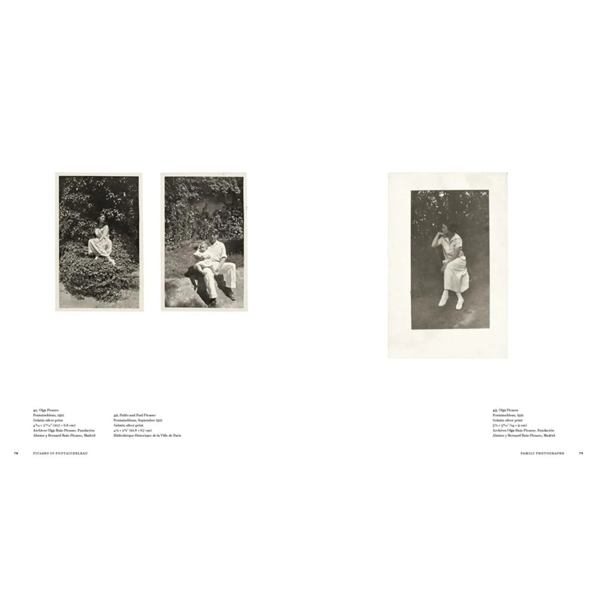 Picasso in Fontainebleau Art Book - 2