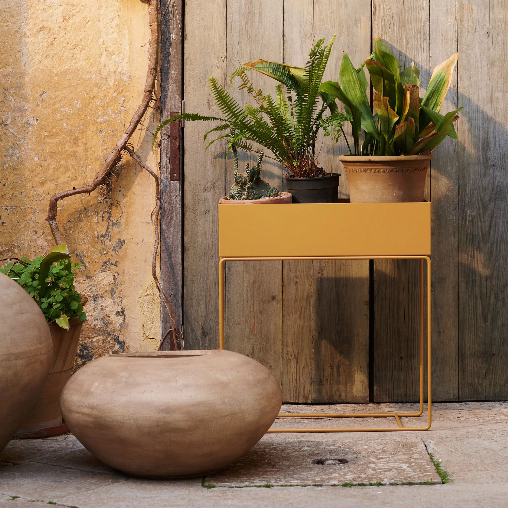 Plant Box - 9