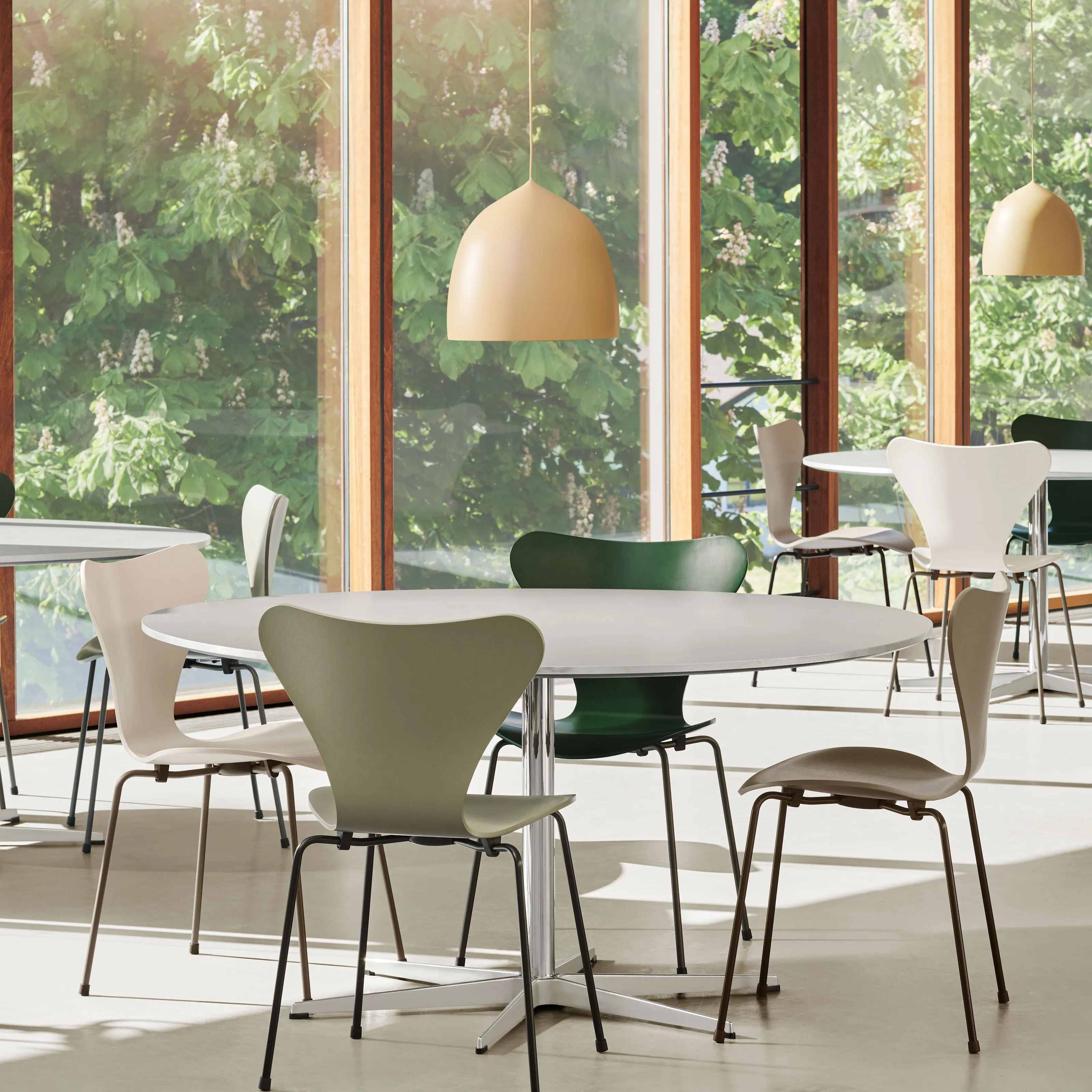 Series 7 chair 3107 lacquered beech veneer - 2