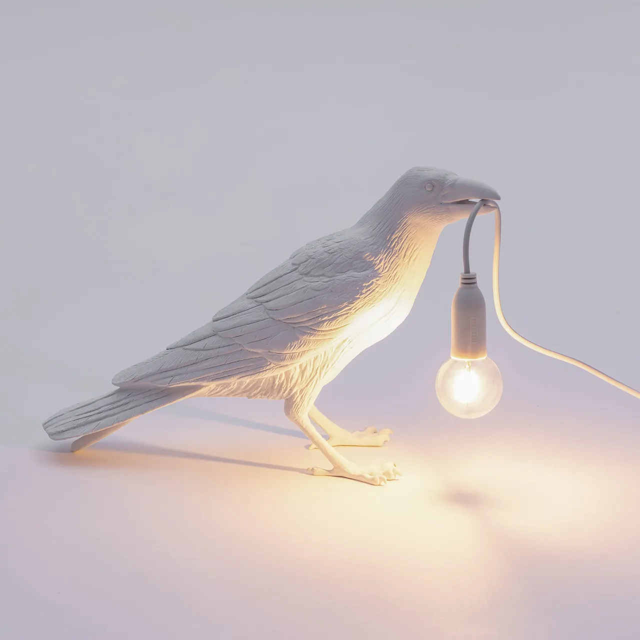 Bird Lamp Waiting