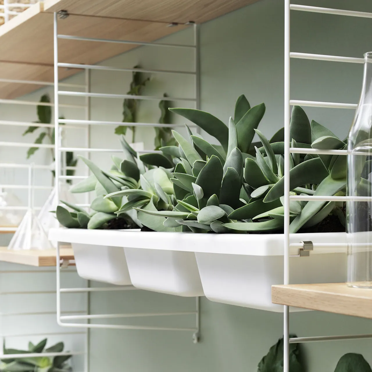 String Bowl Shelf