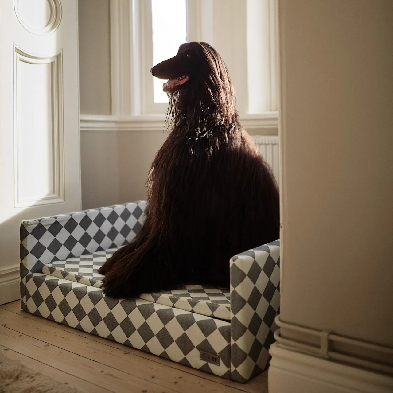 DUX Premium Dog Bed by NO GA