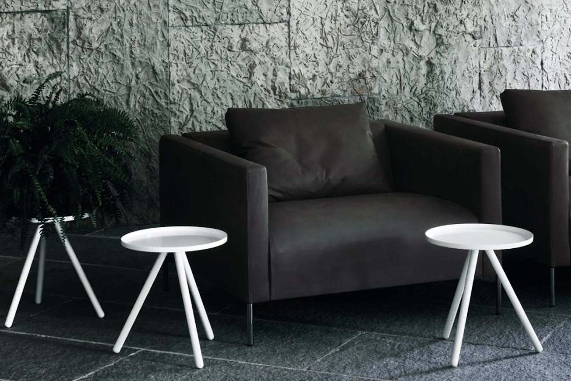 Twin Armchair - Living Divani - Piero Lissoni - NO GA