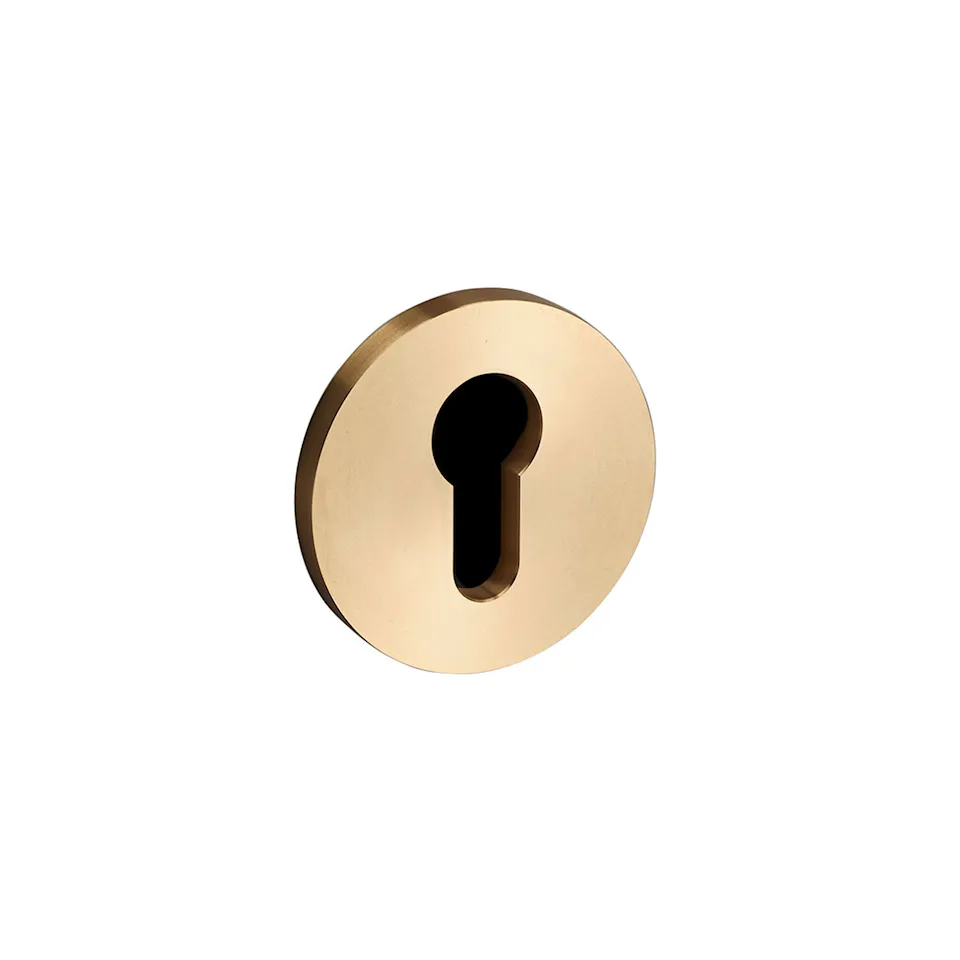 Euro Cylinder Plate