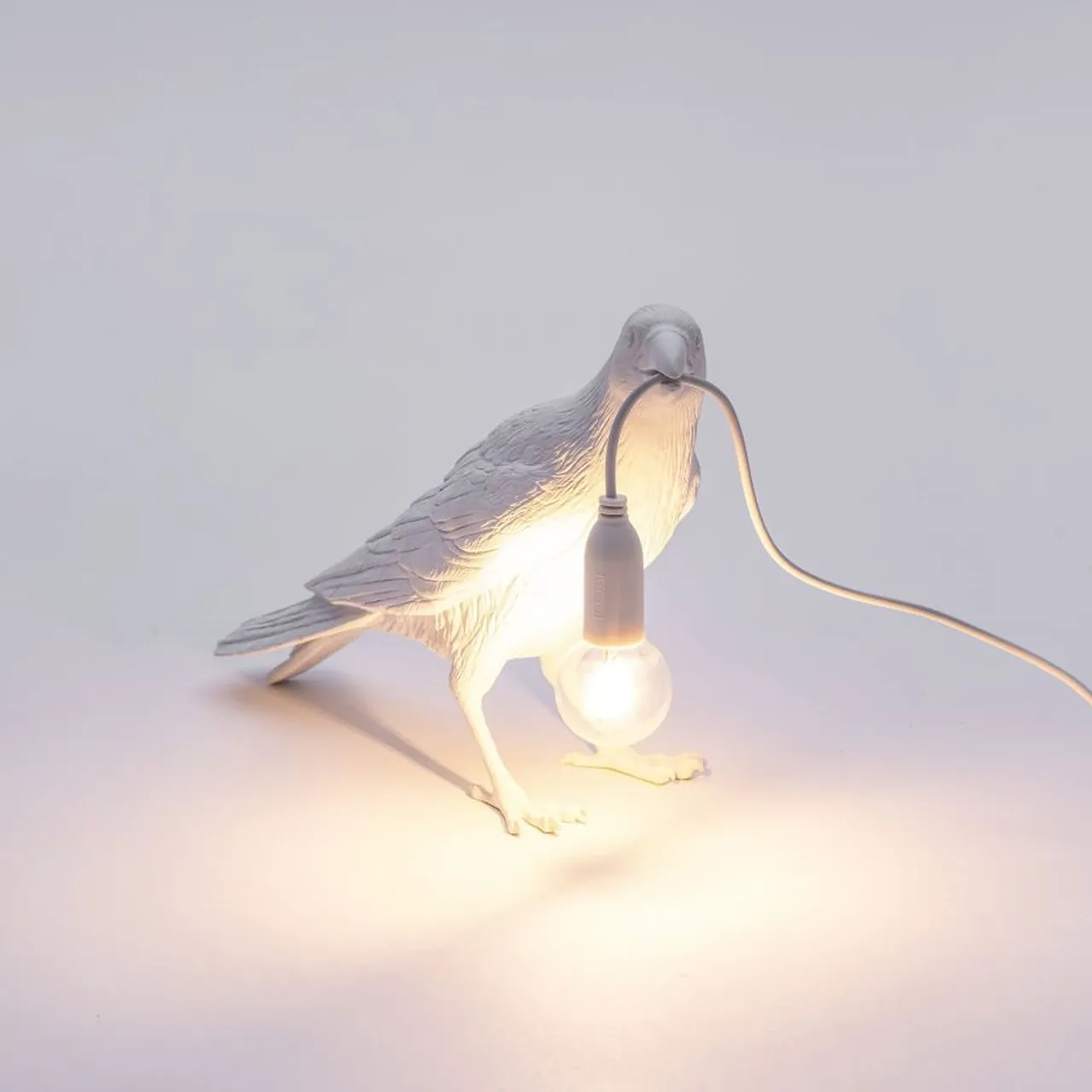 Replacement LED Bulb, Bird lamp, Outdoor