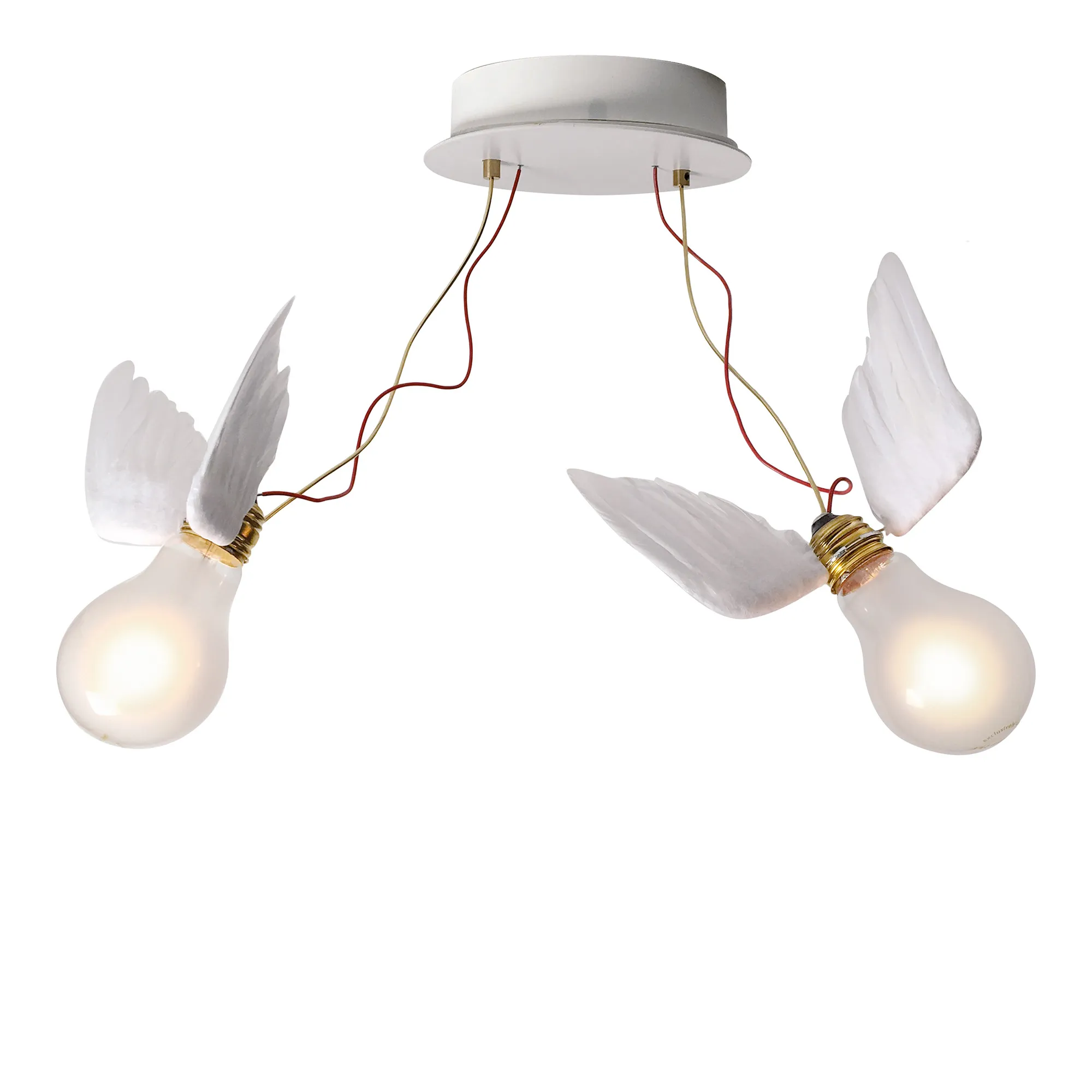 Lucellino Doppio Wall & Ceiling Lamp - 1
