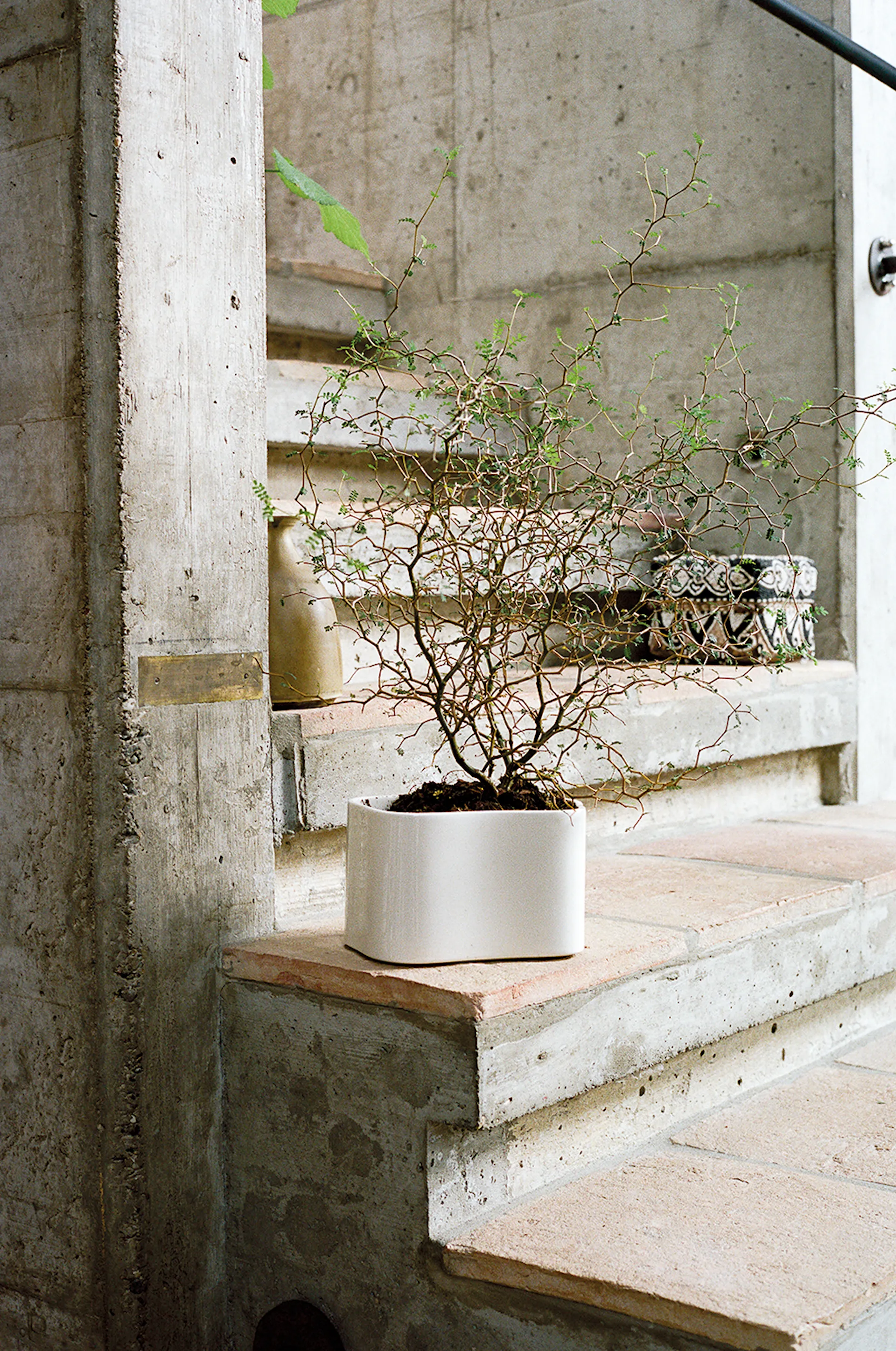 Riihitie Plant Pot Shape B Small - Artek - Aino Aalto - NO GA