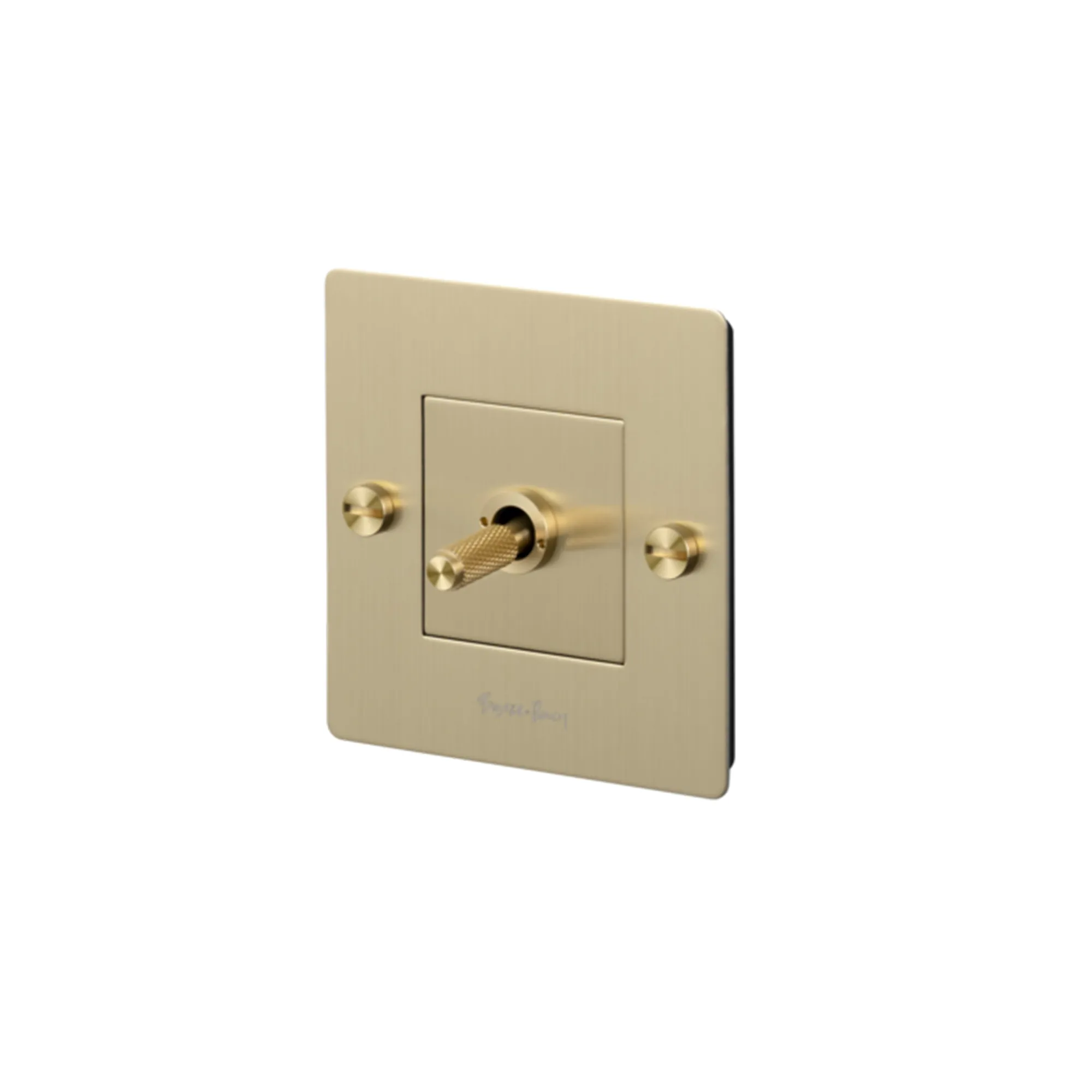 EU 1G Toggle Switch With Logo - 1