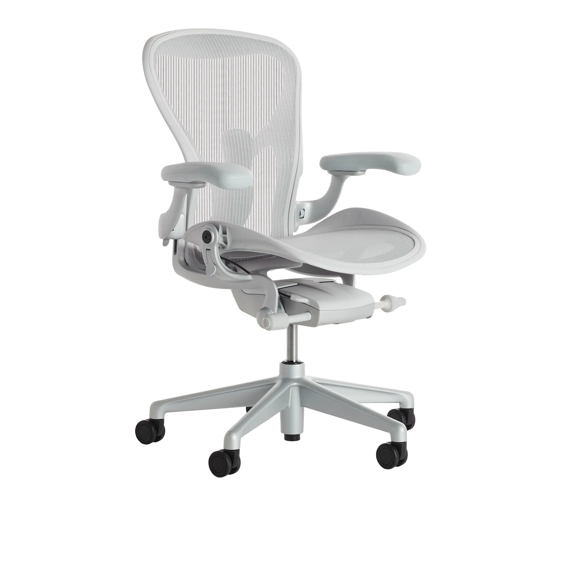 Aeron Chair PostureFit SL - Mineral/Dark Mineral - Herman Miller - NO GA