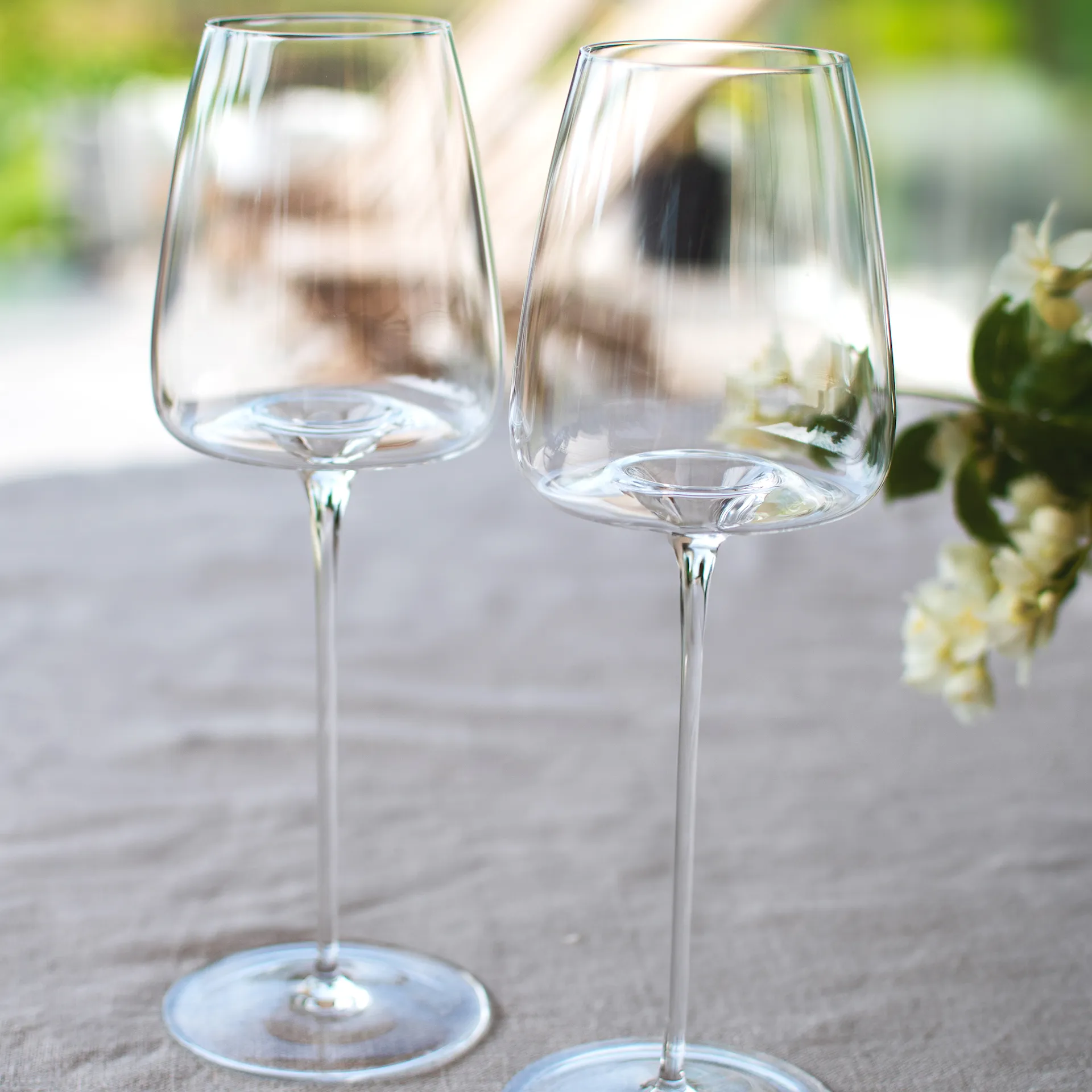 Zieher Wine Glass Vision Fresh 2-Pack - Zieher - NO GA