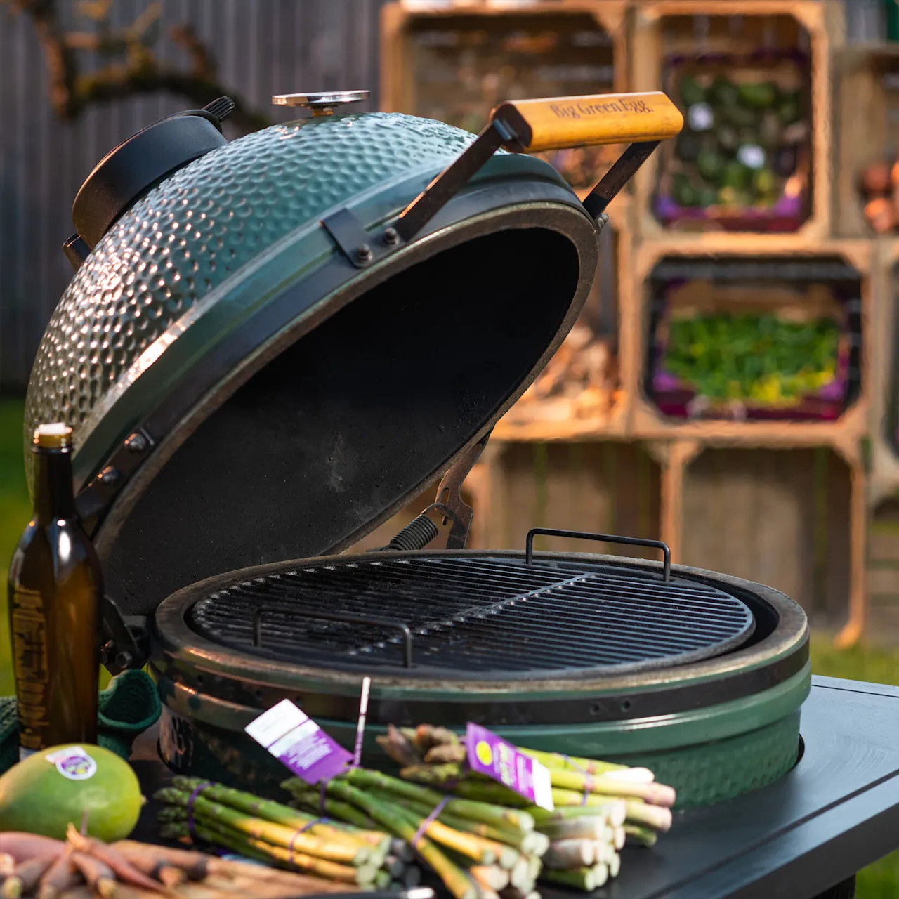 Big Green Egg Medium