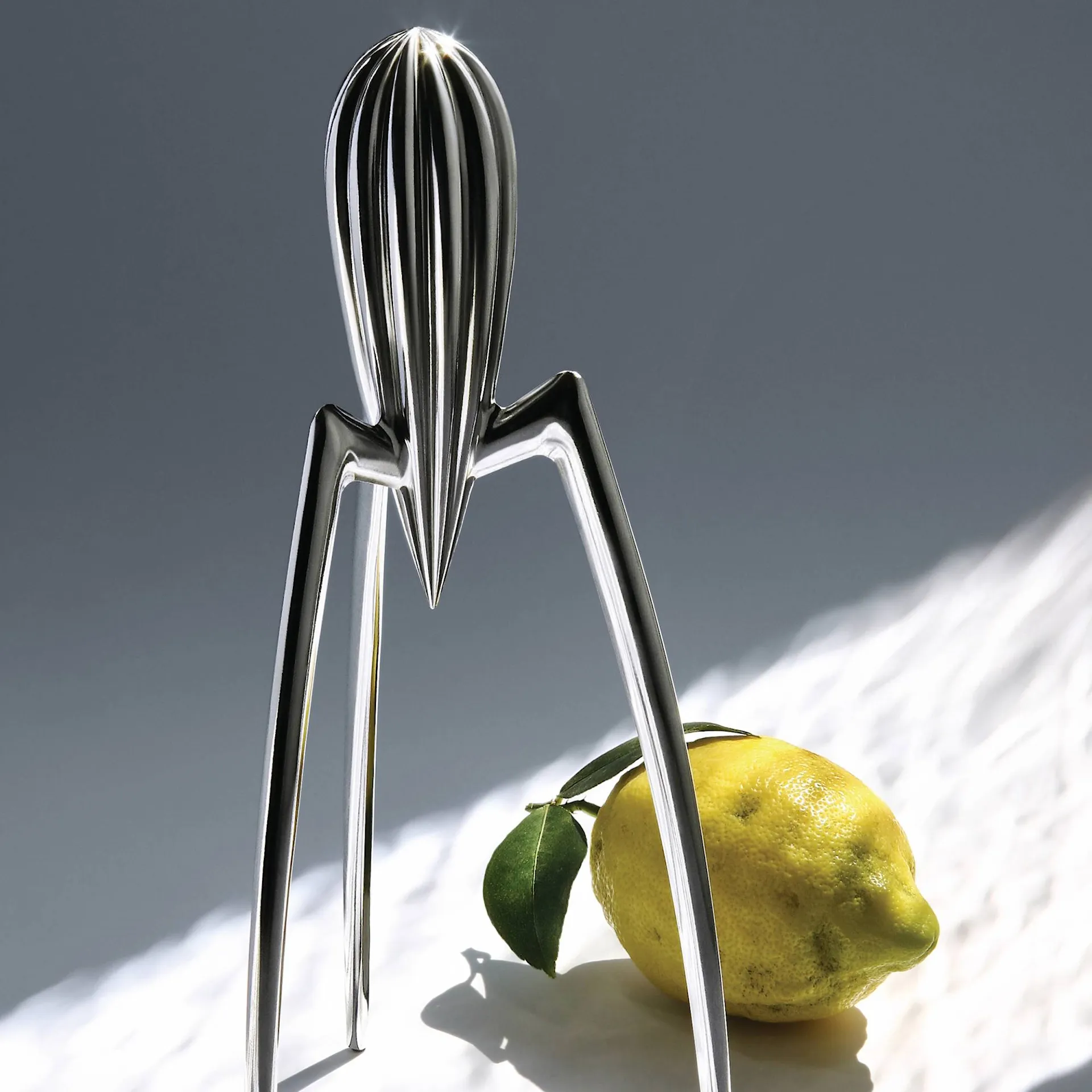 Buy Juicy Salif from Alessi NO GA