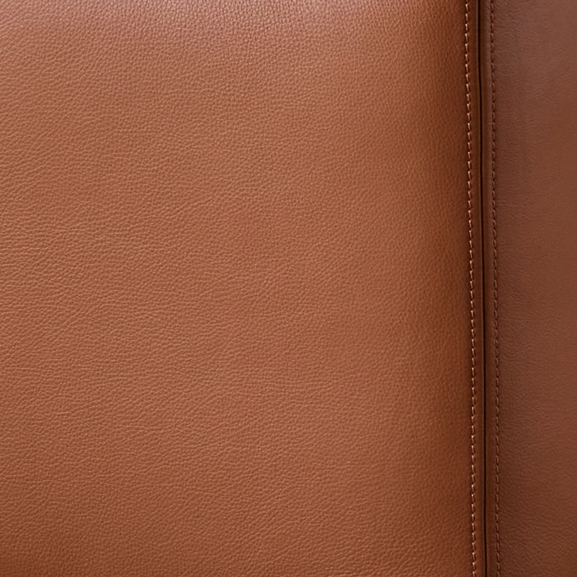 Trenton 3-Seater Sofa Leather - 4