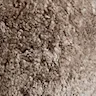 Sahara