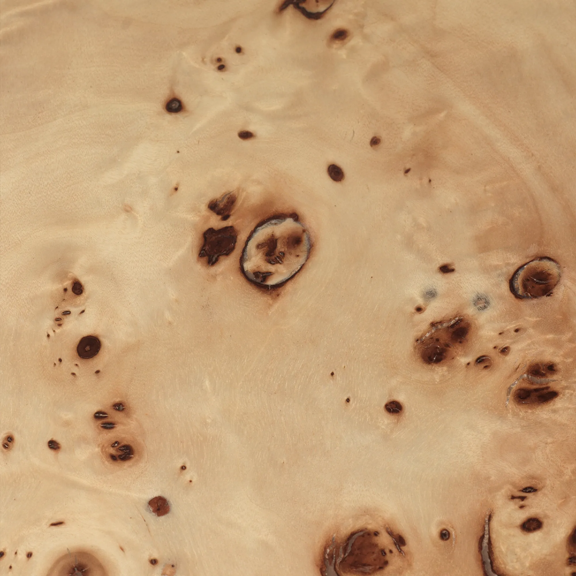 Burl sofabord - 4