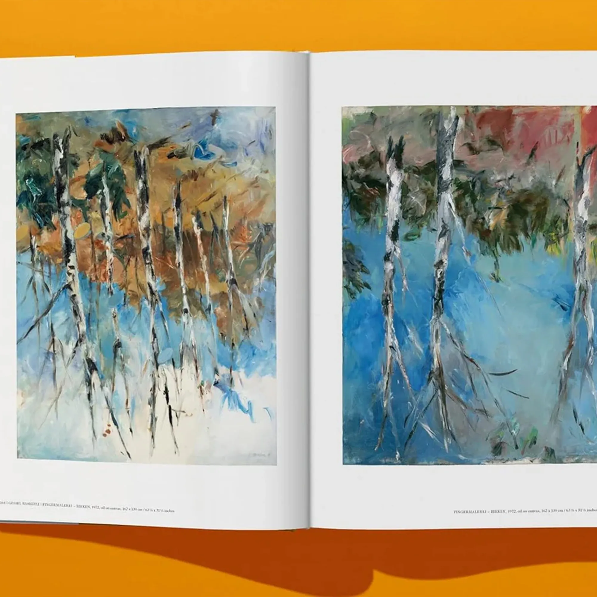 Georg Baselitz Art Book - 6