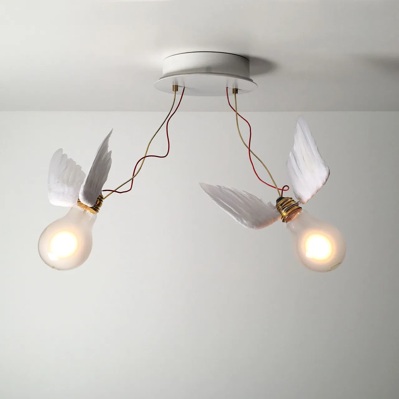 Lucellino Doppio Wall & Ceiling Lamp