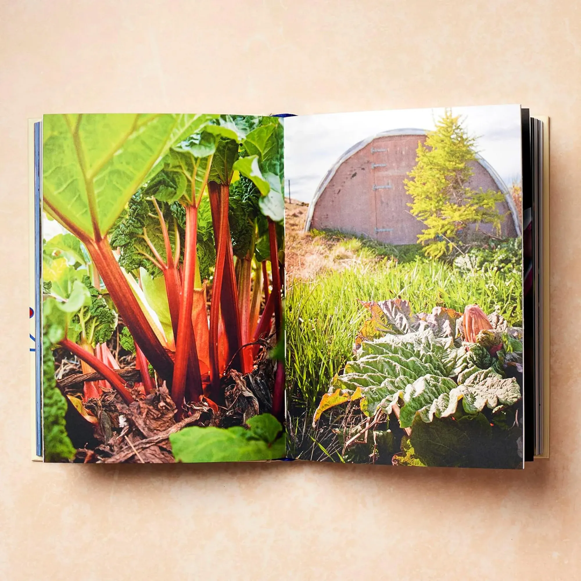 Scandinavia - Recipes and Ingredients Cookbook - 4