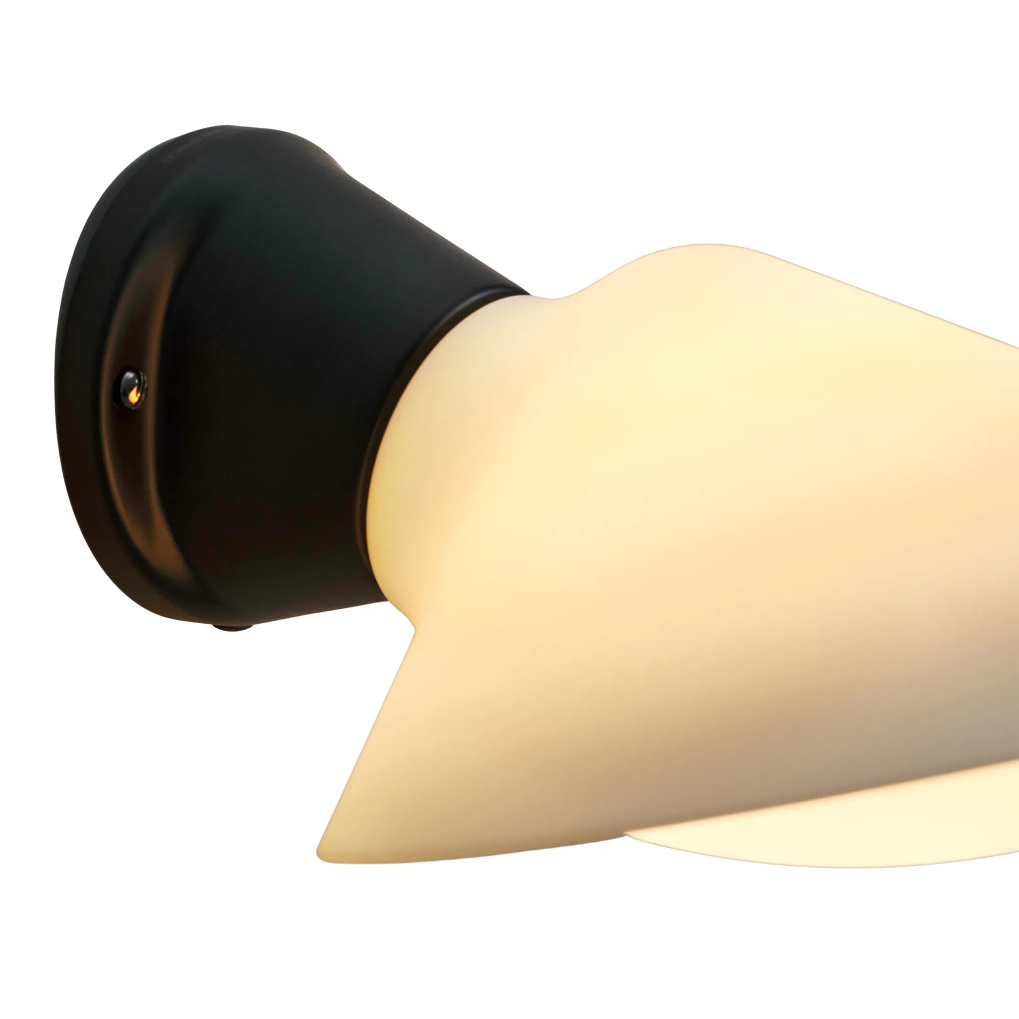 Plume wandlamp - 3