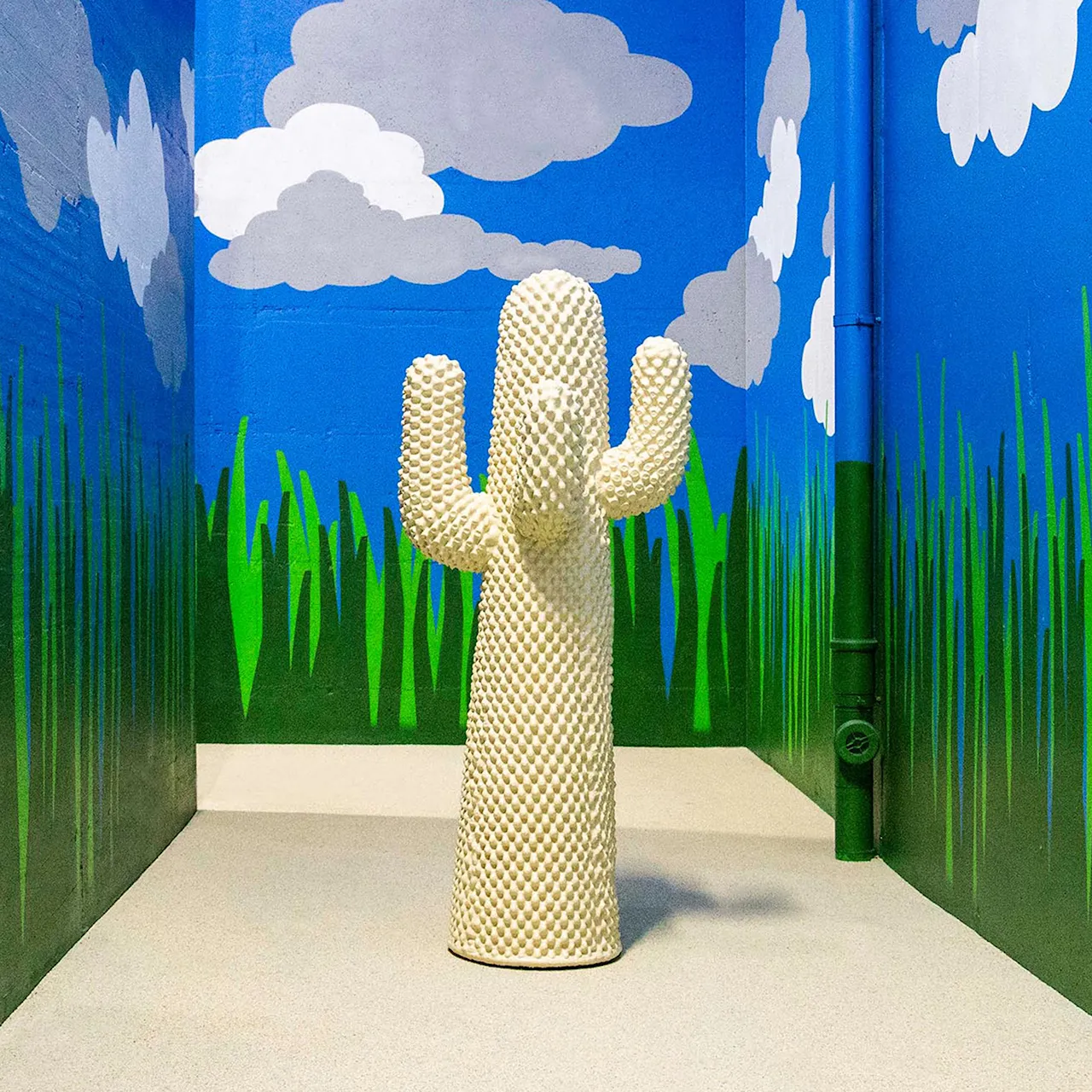 Another White Cactus