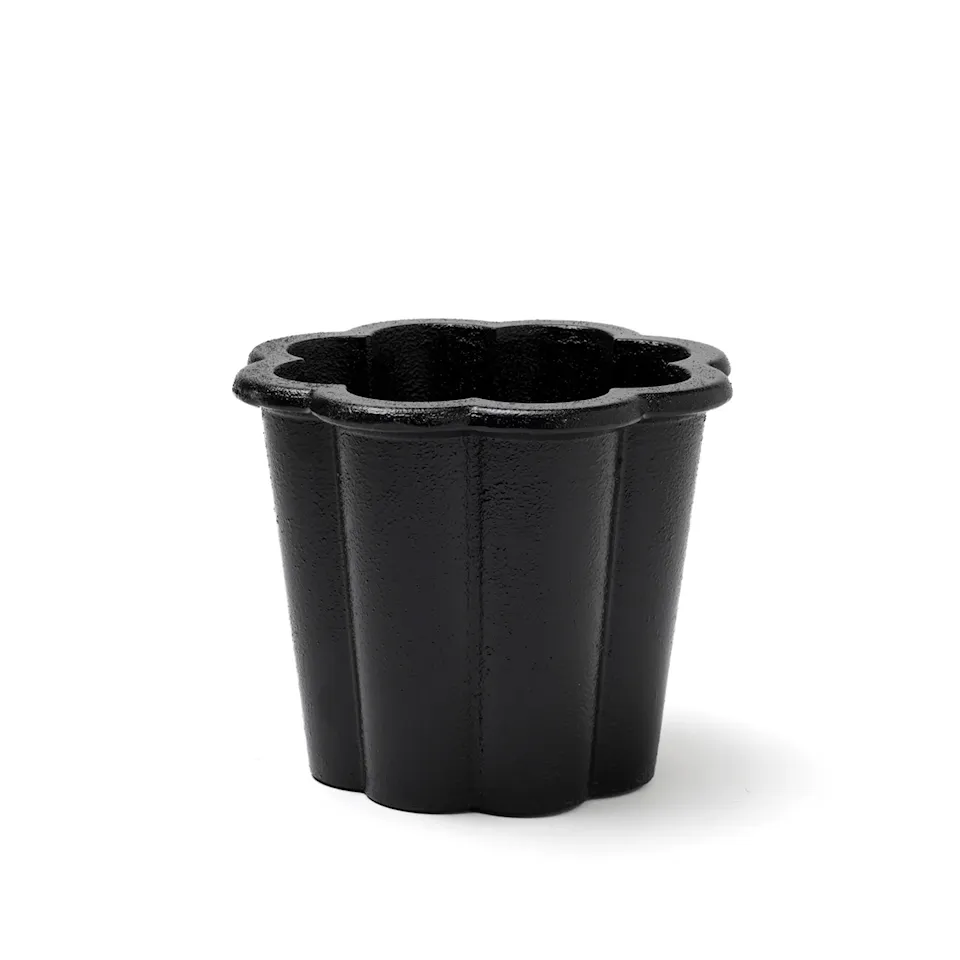 Fjällsippa flower pot high