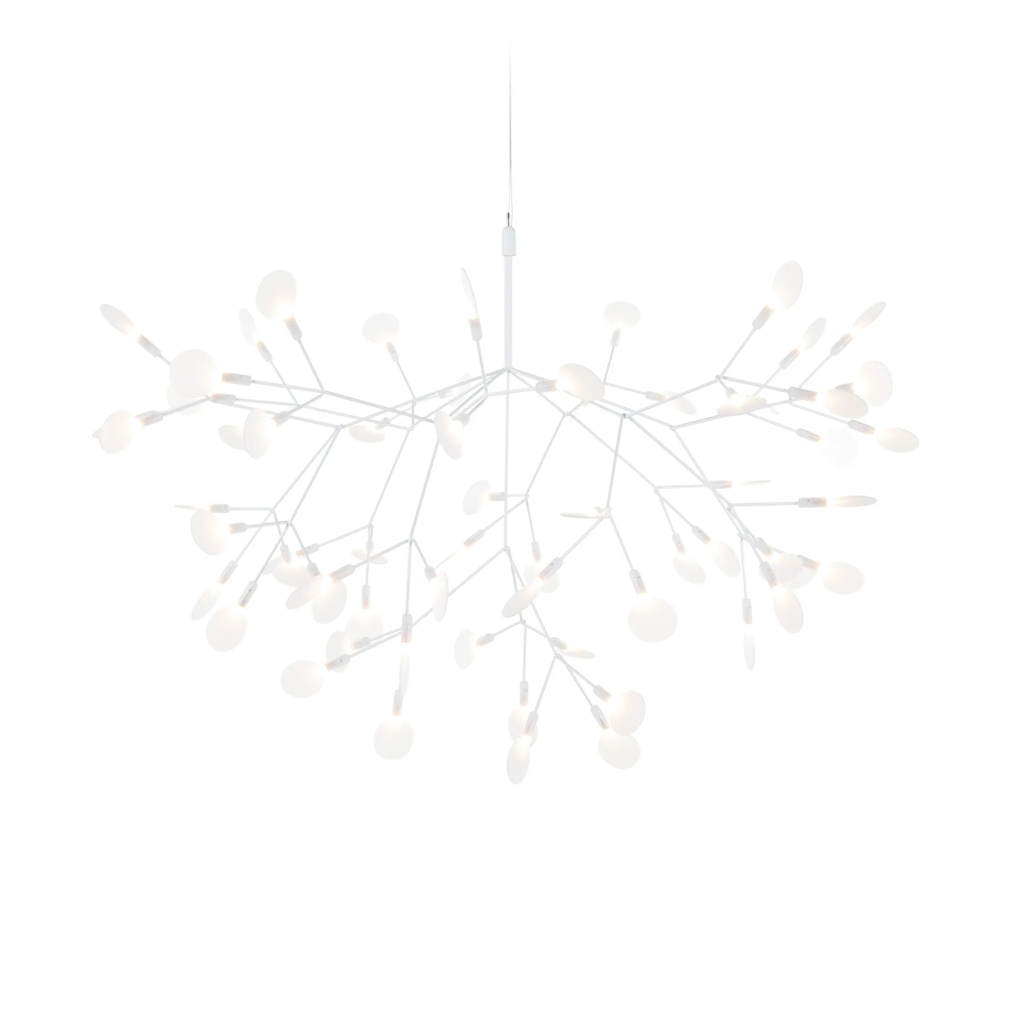 Heracleum III Chandelier - 1