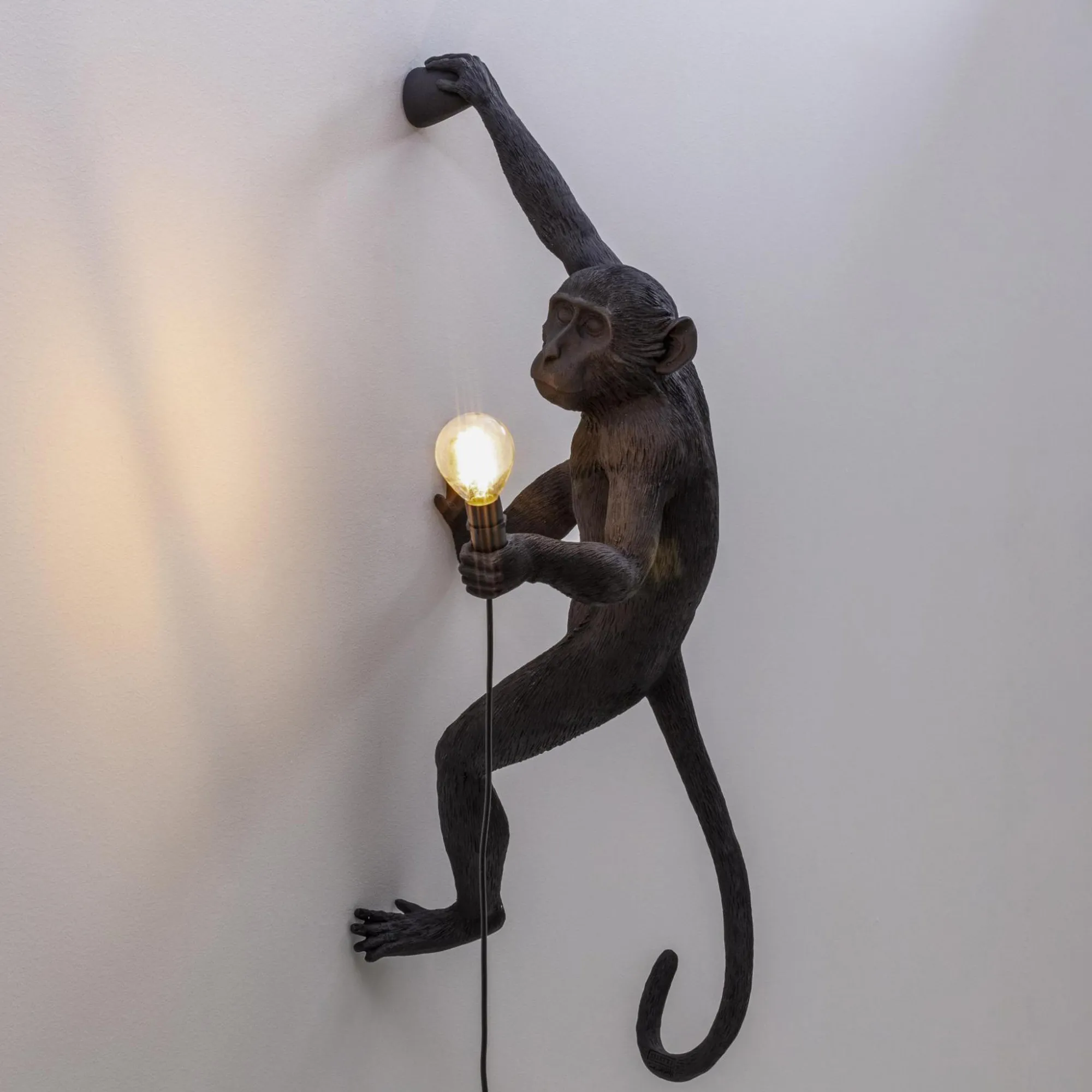 Monkey Lamp Outdoor Hanging - 2