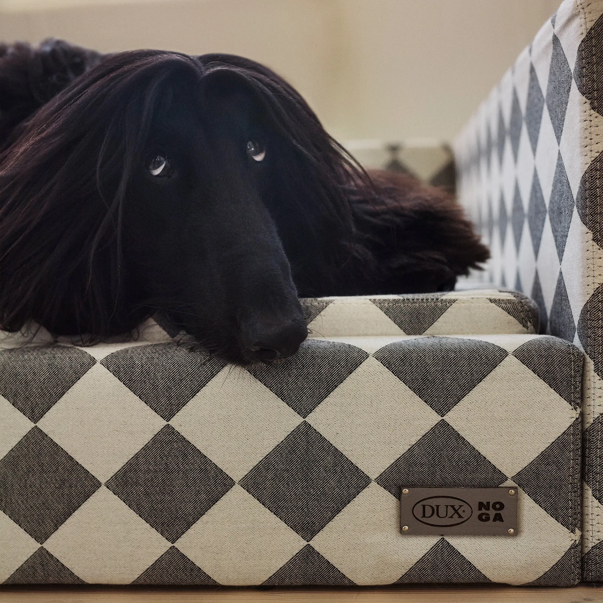 DUX Premium Dog Bed by NO GA - DUX - NO GA