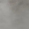Misty Gray