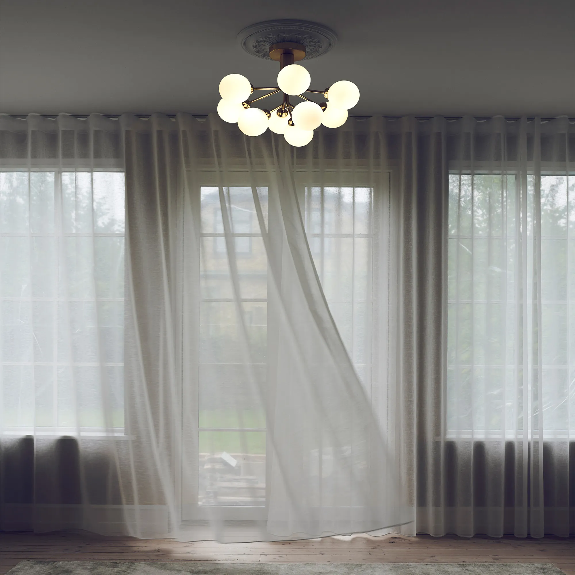 Apiales 9 Ceiling - 3