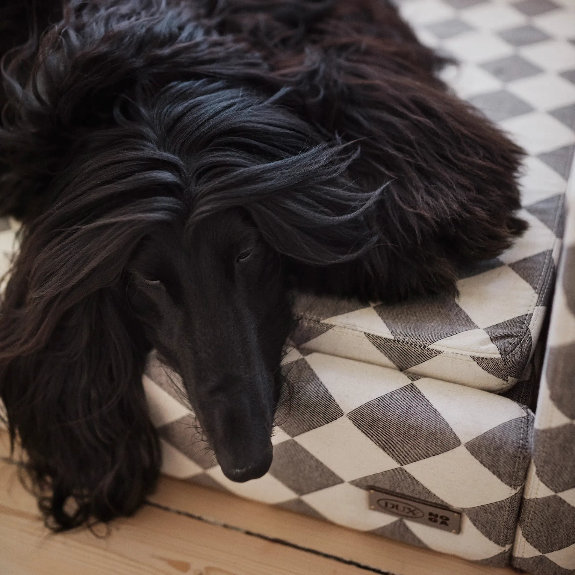 DUX Premium Dog Bed by NO GA - DUX - NO GA