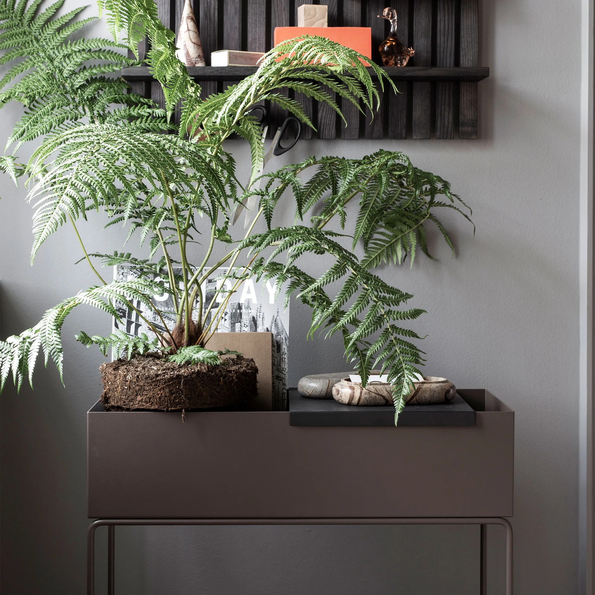 Plant Box - 4