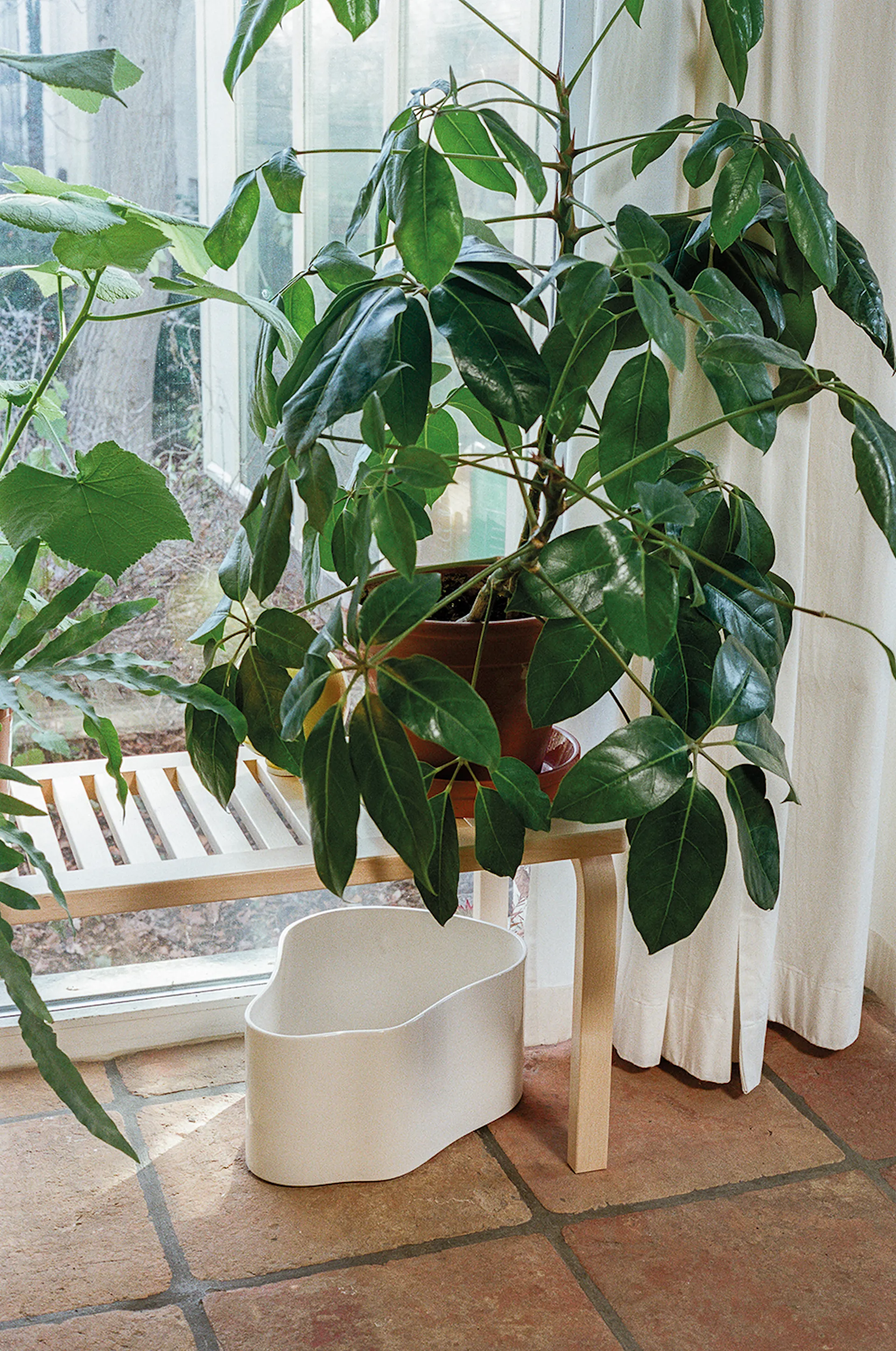 Riihitie Plant Pot Shape A Small - Artek - Aino Aalto - NO GA